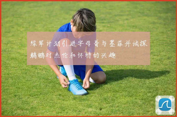 绿军计划引进字母哥与墨菲并试探鹈鹕对杰伦和怀特的兴趣