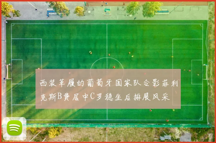 西装革履的葡萄牙国家队合影菲利克斯B费居中C罗稳坐后排展风采