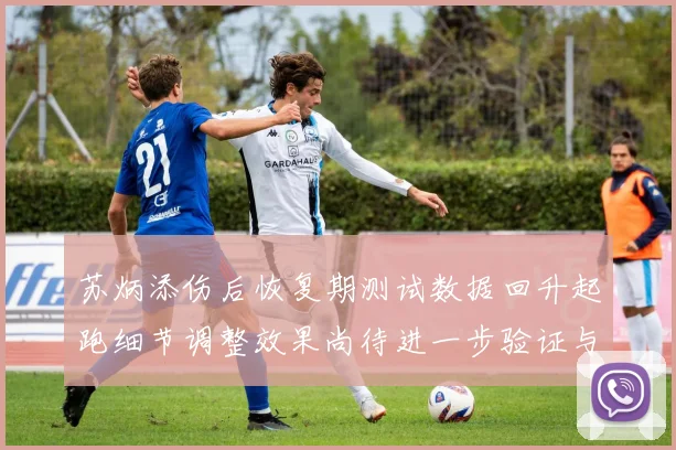 苏炳添伤后恢复期测试数据回升起跑细节调整效果尚待进一步验证与观察